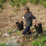 Twee emmertjes water